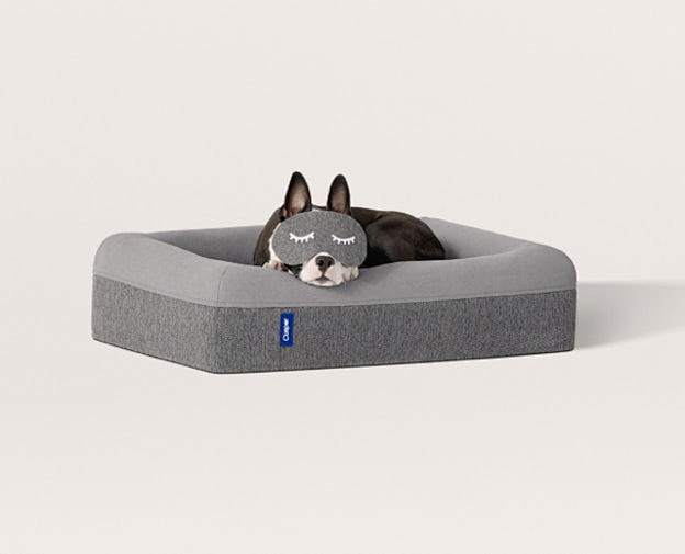 Dog Bed for furry dr...