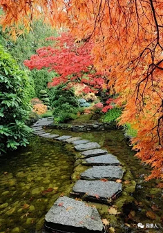 汀步-花瓣网|陪你做生活的设计师 | 水点步石 • 汀步
