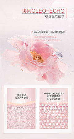 Rosie1030采集到彩妆排版参考