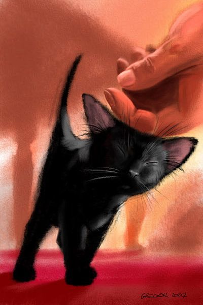 "Little Purrs" Accep...