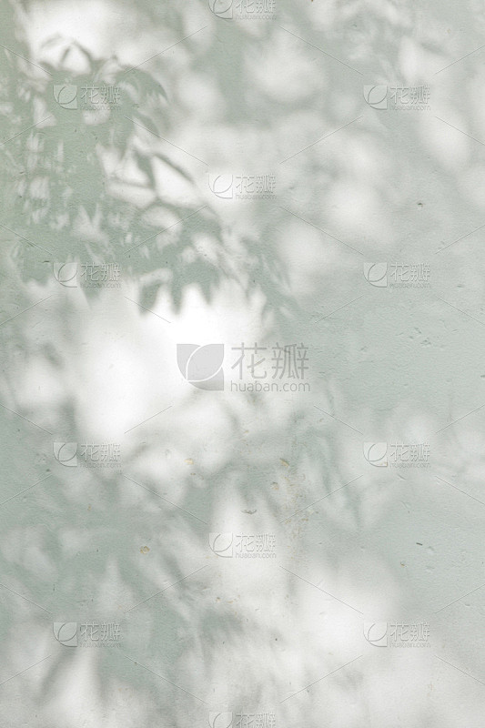 灰膏,墙,阴影,叶子,灰色斑纹马,白涂料...