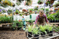 Workers in nursery plant greenhouse by Hero Images on 500px