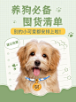宠物知识科普小红书封面