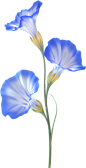 33eda582aa7f6f54e4d78860c8af0fd99a9e72cc241730-2tOQEB