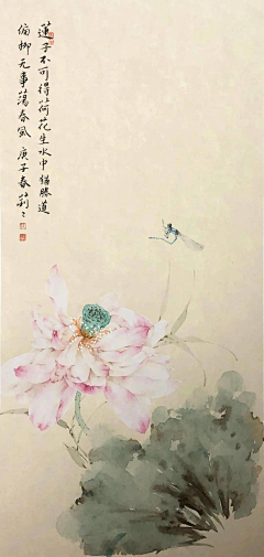 冰魇采集到工笔花鸟