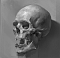 skull , cg_ sister : just study