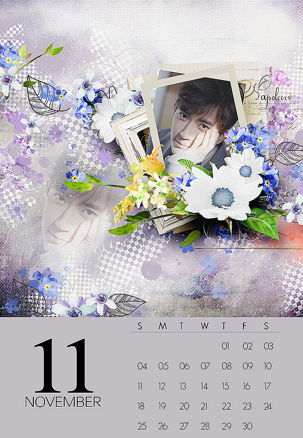 11（预览）