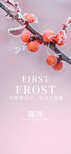 霜降大气插画节日节气唯美简约海报