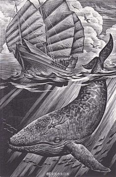 7592d35a34e4f采集小太爷,采集到大鱼鲲//采集/侵删/致歉采集小太爷