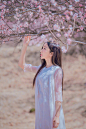 娄艺潇清新大片，身处无尽桃花之中，像小仙女一样美丽。@娄艺潇 ​​​​