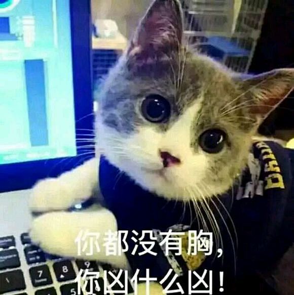 求这只猫的表情包_斗图吧_百度贴吧