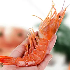 【天猫超市】蓝雪船冻阿根廷特大红虾(L1)2kg 海鲜-天猫超市-天猫Tmall.com-上天猫，就购了-上天猫，就够了