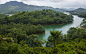 104074-tropical_rainforest-tarn-vegetation-rainforest-hill_station-2560x1600.jpg (2560×1600)