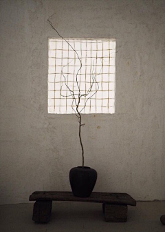 yuanzheng采集到Wabi_Sabi