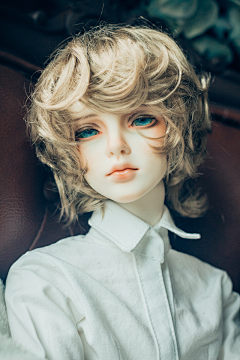 红色羽毛采集到BJD/手办/模型