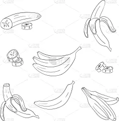 轮廓,香蕉,一个物体,素食,清新,直的,食品,成分,布置,串