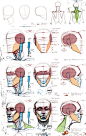 #绘画参考学习#绘制头部的时候，不要忘了它有多个侧面，是个立体的形状~