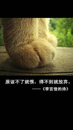 李宫俊的诗图片版、文字图片、三行情书图片、文字控图片.iphone6 plus壁纸 (52)