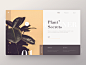 植物秘密Web黄色webdesign最小复古web植物布局设计