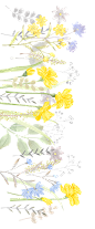 2c75b911ac8a403a8663c423ba542bd44300194af733a-MJSTdk_fw1200