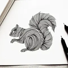 一组黑白动物手绘插画~
ins：menis_art ​ （转）via @ins插画 ​ ​​​​