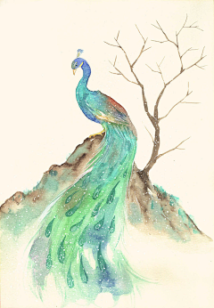 卿本佳人-随风渡采集到插画