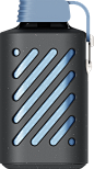 Best Popular Disposable Long Lasting Mesh Coils Vape Brands
