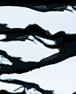 black and white abstract painting