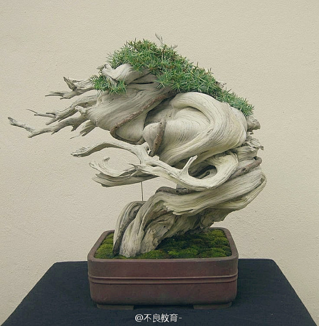 我的首页 微博-随时随地发现新鲜事