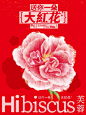 1000g0082ghe5o9gi805g5n9j4iqljsr118r8o38!nd_dft_wlteh_webp_3 (1080×1440)