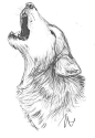 https://www.pinterest.com/pin/476114991832416116/