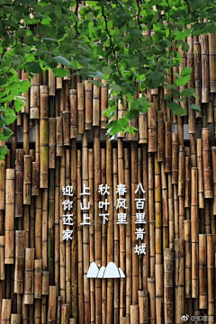 hm2005采集到乡村景观植物