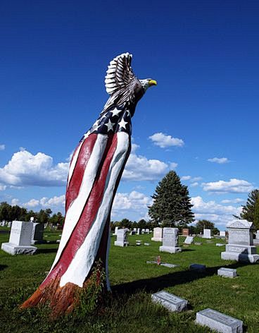 白头海雕和美国国旗