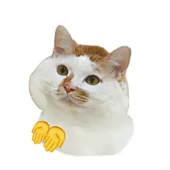 我宣布 没有比这更万能的表情包了！ - 小红书