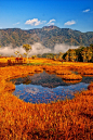 Autumn in Oze, Japan