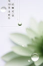 yohance94_A_macro_photograph_of_a_flower_with_small_water_dropl_8a817df0-187b-40c1-9cb4-9cfeebd77c0d