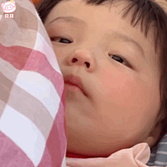 ‏‏ㅤ‏‏ㅤ采集到丸子