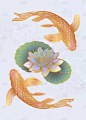 民族鱼锦鱼与水莲花