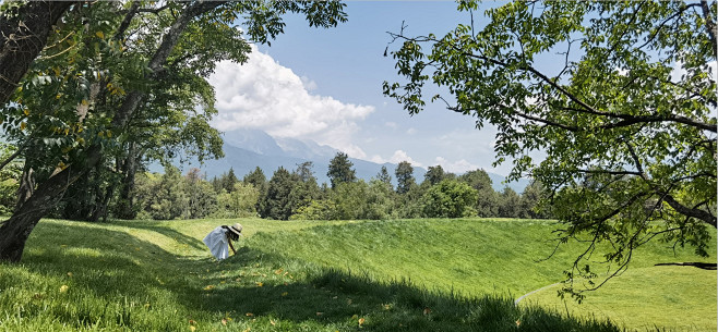 荒野花园和草甸剧场：许拍以东的一岁与枯荣