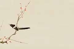 工笔画设计展板背景素材