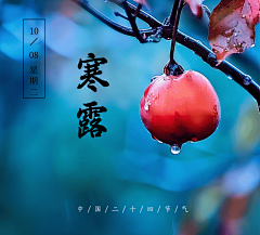 医学插图采集到10.04