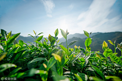 來乾了這杯熱翔采集到高清背景