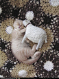 sweet dreams: 