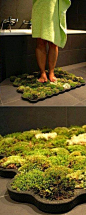 Moss shower mat that lives off the water that falls after you get out of the shower.