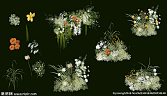 丑二脸采集到花艺