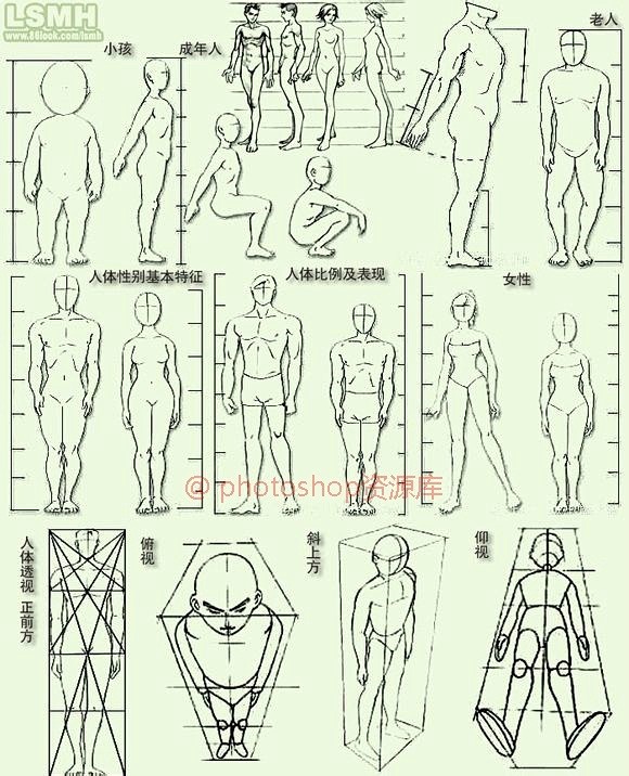 分享一组手绘资源人体五官结构参考包括：嘴...