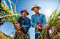收割稻谷的农民高清摄影图片 - 素材中国16素材网