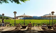 现代田园休闲景观效果图欣赏_【知末效果图】