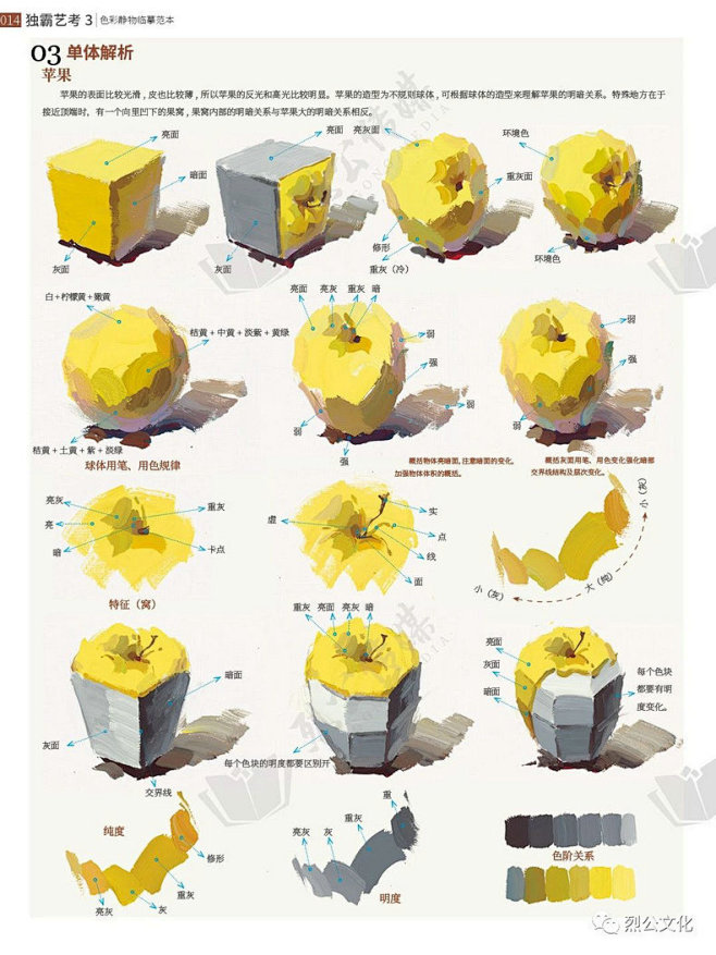 独霸艺考3色彩静物临摹范本2020烈公文...