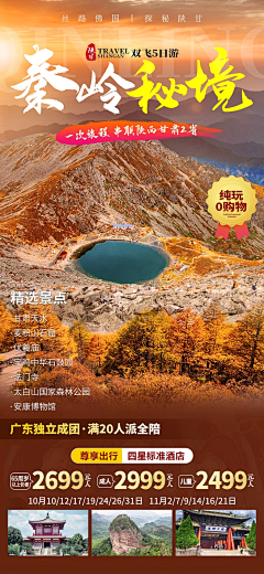 secret2020采集到旅游海报